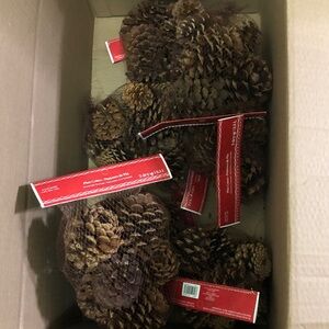 Bundle of 7 Bags Ashland Brown Pinecones Decorative Packs